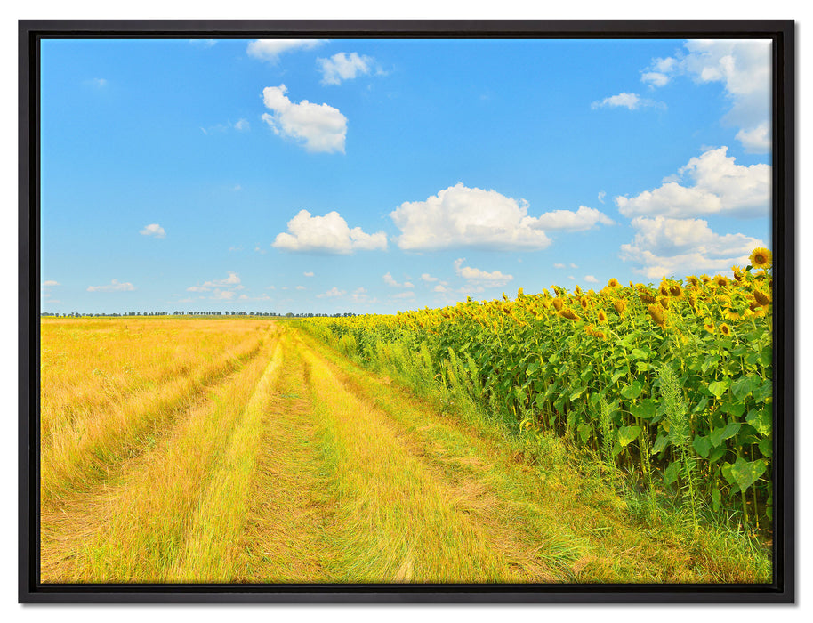 Feldweg am Wald auf Leinwandbild gerahmt Größe 80x60