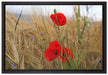Mohnblumen im Getreidefeld auf Leinwandbild gerahmt Größe 60x40