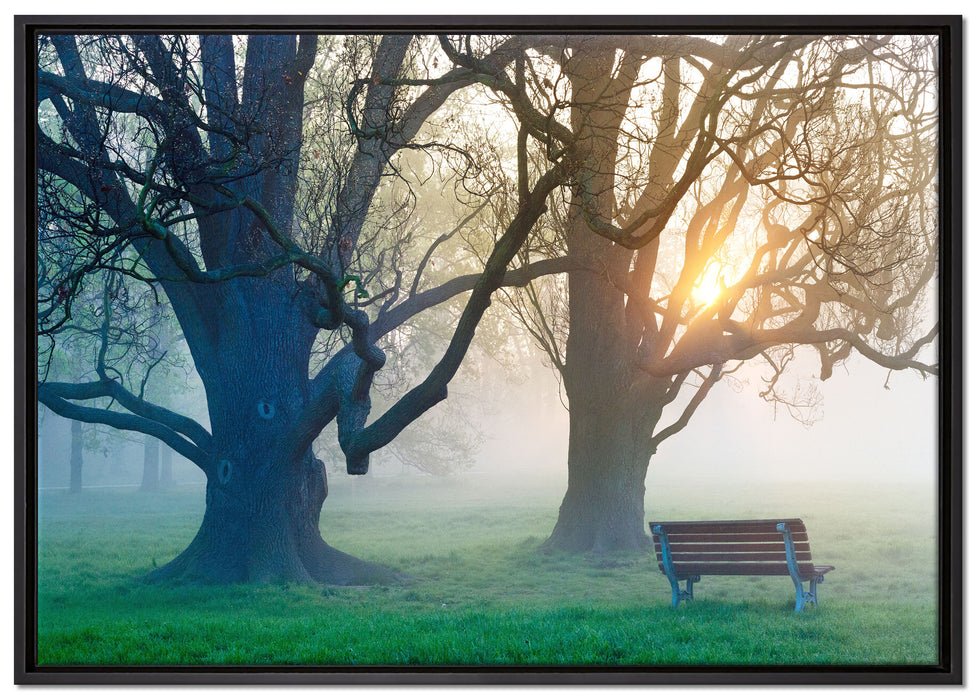 Baum und Bank im Nebel auf Leinwandbild gerahmt Größe 100x70