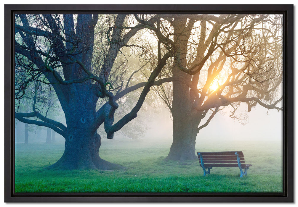 Baum und Bank im Nebel auf Leinwandbild gerahmt Größe 60x40