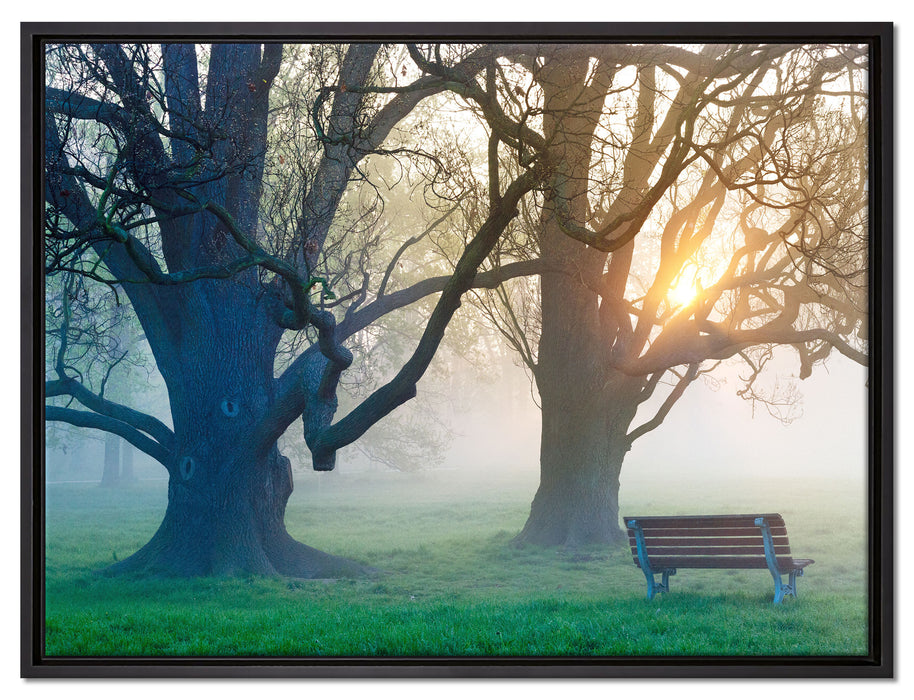 Baum und Bank im Nebel auf Leinwandbild gerahmt Größe 80x60