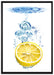 Zitrone im Wasserregen auf Leinwandbild gerahmt Größe 100x70