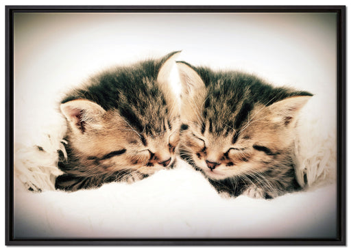 Katzen Herzform auf Leinwandbild gerahmt Größe 100x70