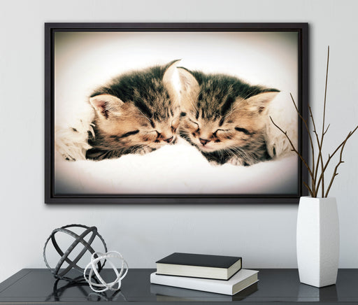 Katzen Herzform auf Leinwandbild gerahmt mit Kirschblüten