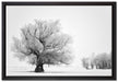 Bäume im Schnee Nebel auf Leinwandbild gerahmt Größe 60x40