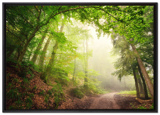 Sonnenstrahlen Waldweg auf Leinwandbild gerahmt Größe 100x70