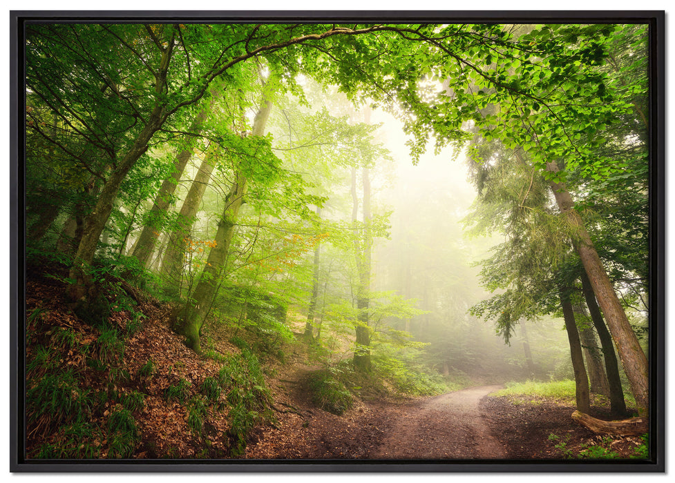 Sonnenstrahlen Waldweg auf Leinwandbild gerahmt Größe 100x70
