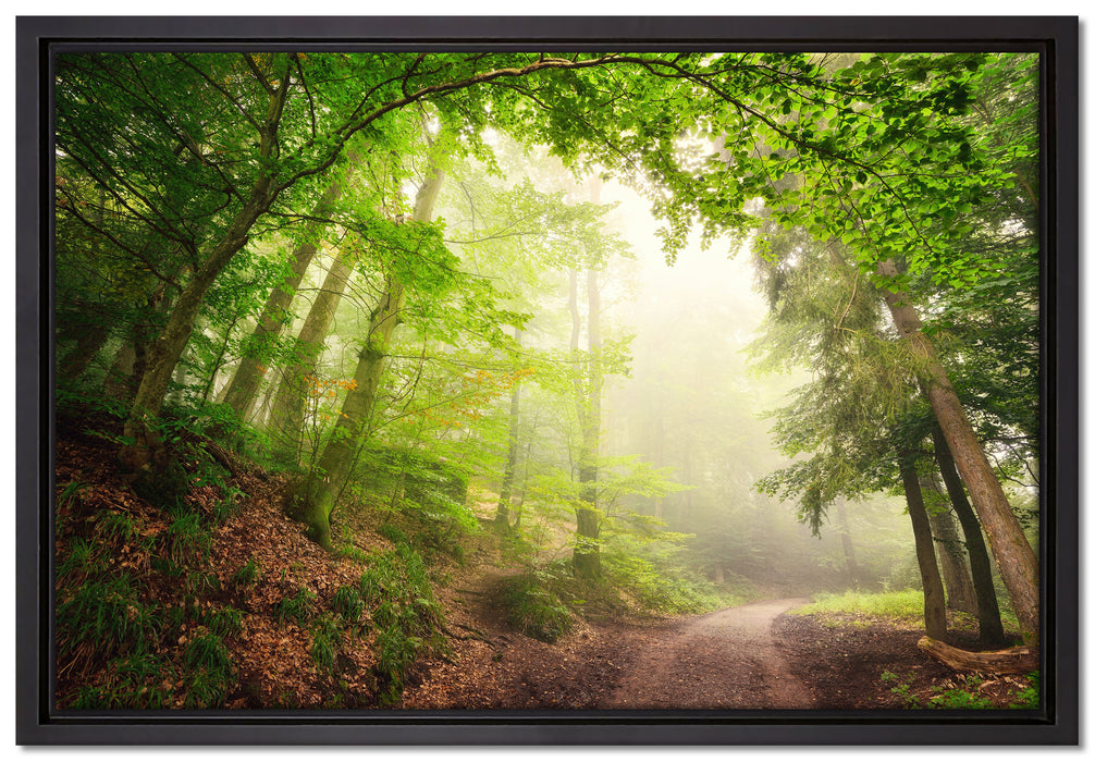 Sonnenstrahlen Waldweg auf Leinwandbild gerahmt Größe 60x40