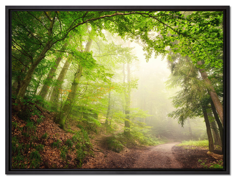 Sonnenstrahlen Waldweg auf Leinwandbild gerahmt Größe 80x60
