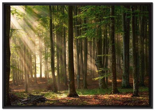 Bäume im auf Leinwandbild gerahmt Größe 100x70