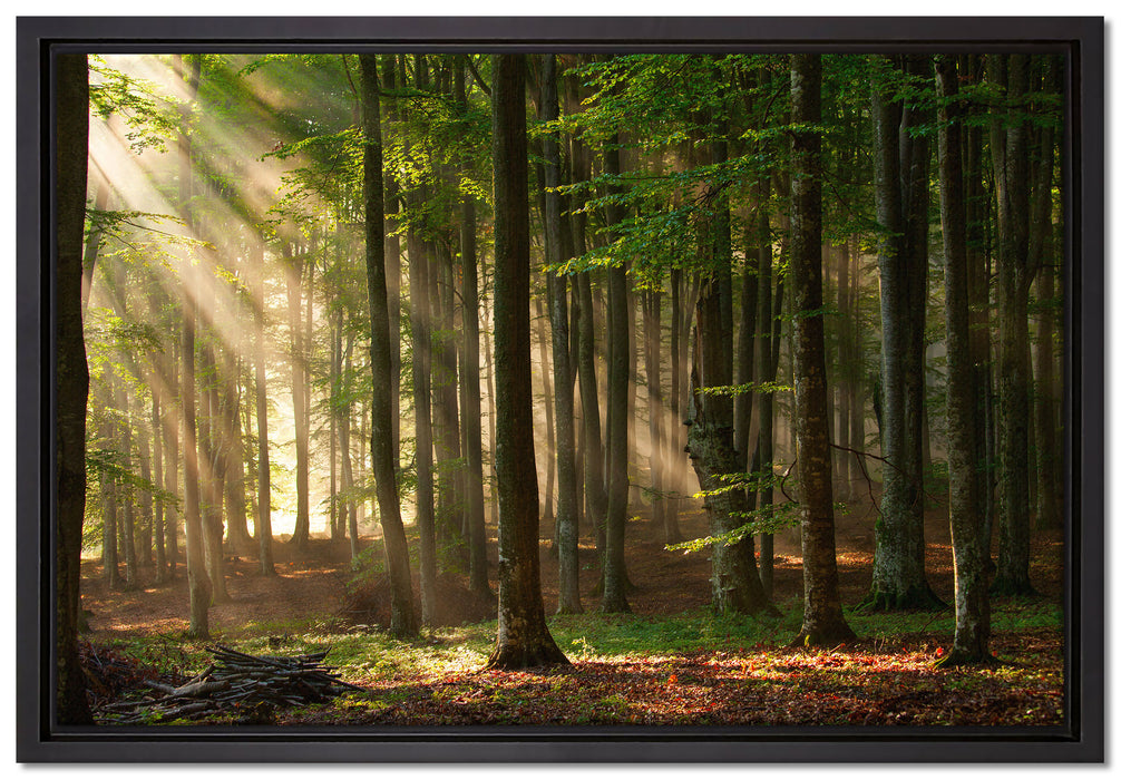 Bäume im auf Leinwandbild gerahmt Größe 60x40