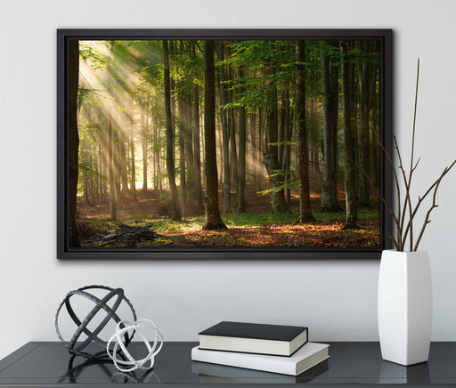 Bäume im auf Leinwandbild gerahmt mit Kirschblüten