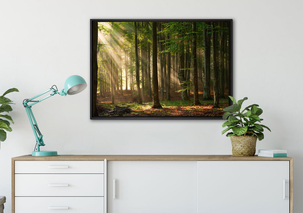 Bäume im auf Leinwandbild gerahmt verschiedene Größen im Wohnzimmer