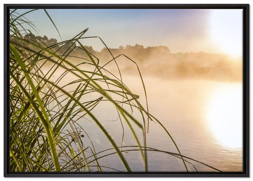 Schilf am See auf Leinwandbild gerahmt Größe 100x70