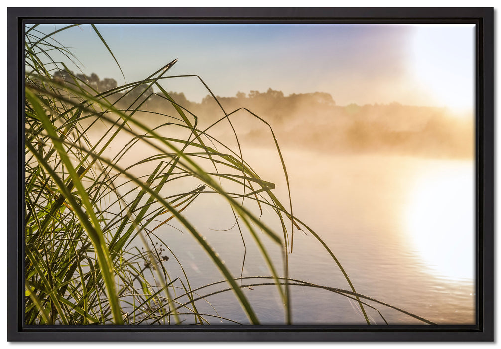 Schilf am See auf Leinwandbild gerahmt Größe 60x40