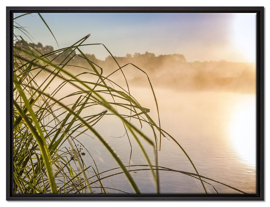 Schilf am See auf Leinwandbild gerahmt Größe 80x60