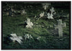 Friedhof schwarz weiß auf Leinwandbild gerahmt Größe 100x70