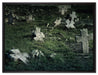 Friedhof schwarz weiß auf Leinwandbild gerahmt Größe 80x60