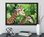Giraffen auf Leinwandbild gerahmt mit Kirschblüten