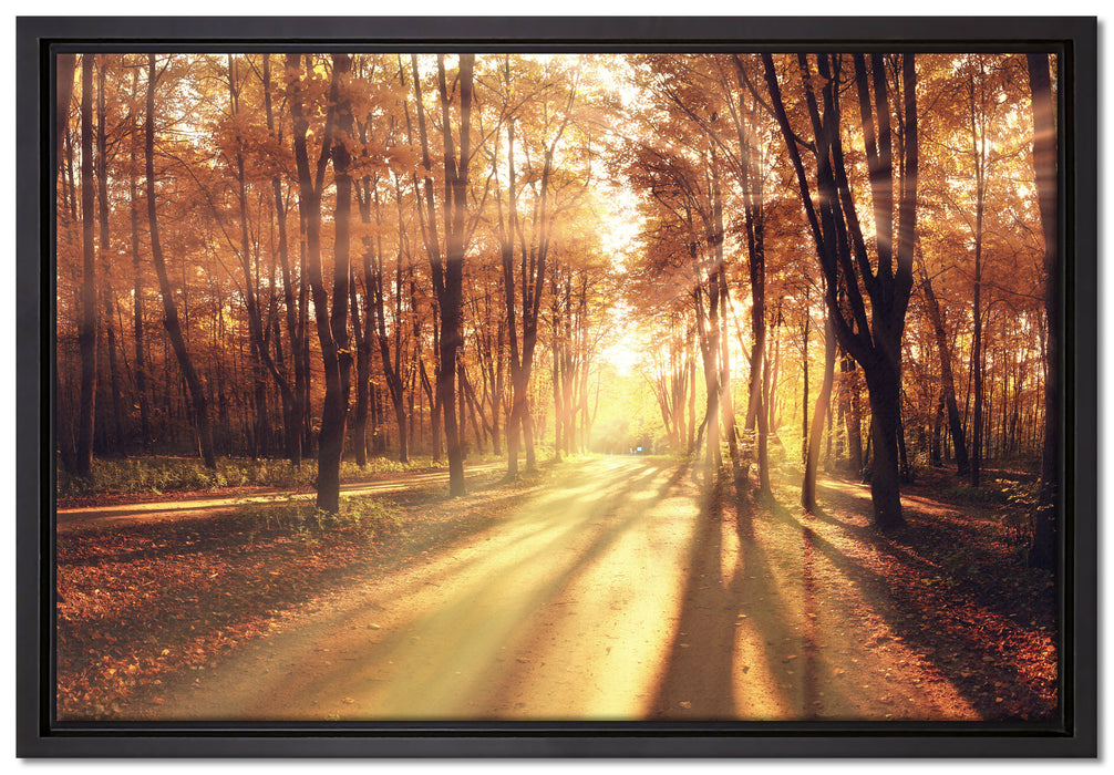 Baumallee im Herbst auf Leinwandbild gerahmt Größe 60x40