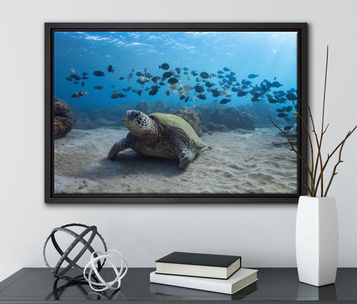 Schildkröte am Meeresboden auf Leinwandbild gerahmt mit Kirschblüten