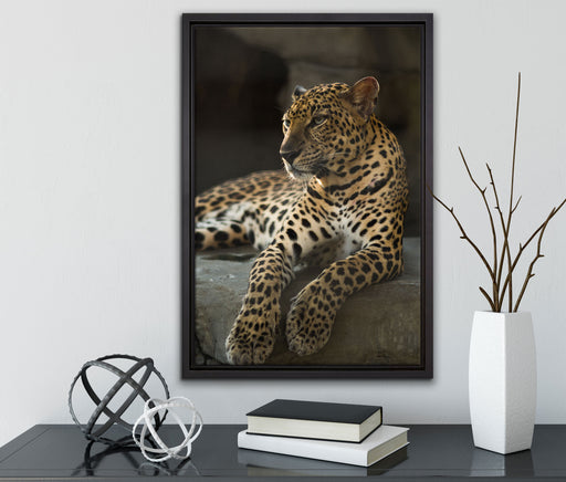 Majestätischer Leopard auf Leinwandbild gerahmt mit Kirschblüten