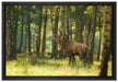 Hirsch im Wald auf Leinwandbild gerahmt Größe 60x40