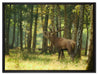 Hirsch im Wald auf Leinwandbild gerahmt Größe 80x60