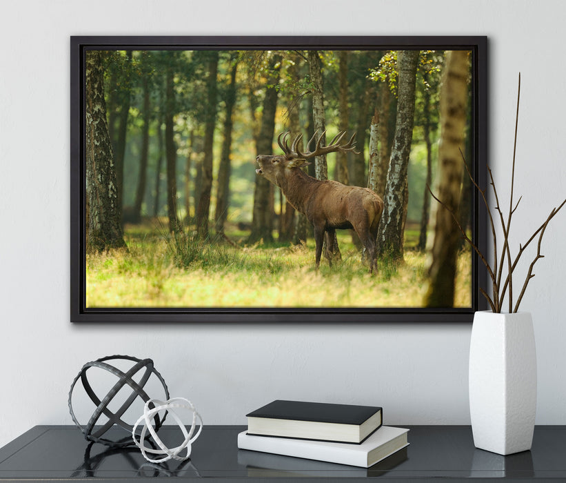 Hirsch im Wald auf Leinwandbild gerahmt mit Kirschblüten