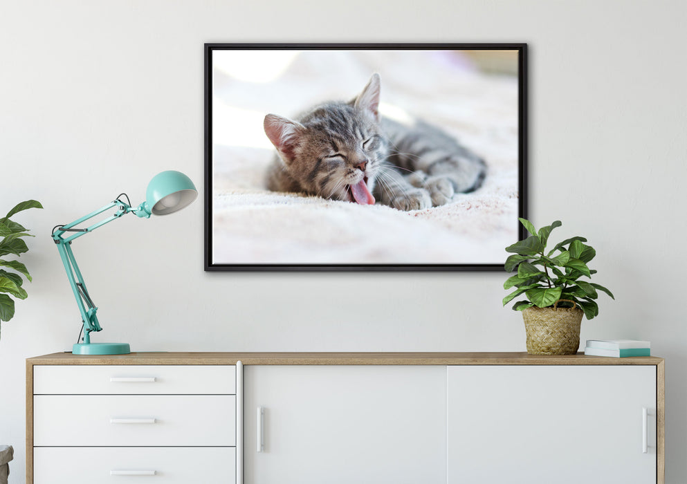 Kleines Kätzchen auf Leinwandbild gerahmt verschiedene Größen im Wohnzimmer