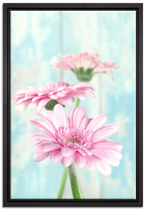 Gerberas auf Leinwandbild gerahmt Größe 60x40