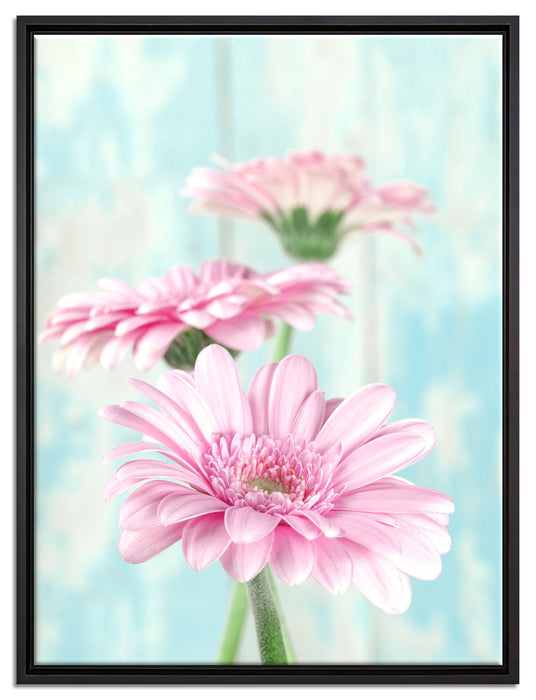 Gerberas auf Leinwandbild gerahmt Größe 80x60