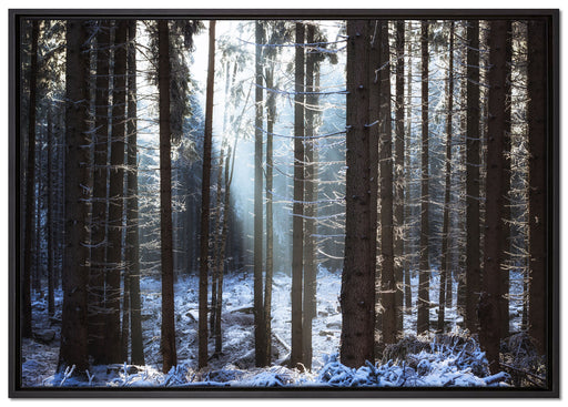 Winterwald auf Leinwandbild gerahmt Größe 100x70