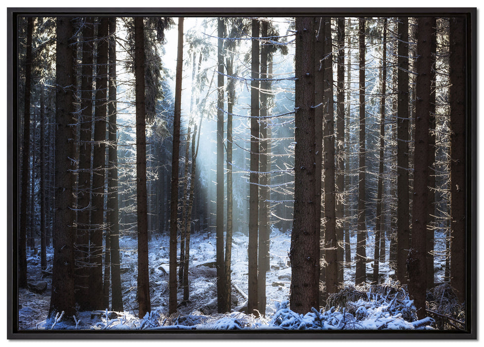 Winterwald auf Leinwandbild gerahmt Größe 100x70