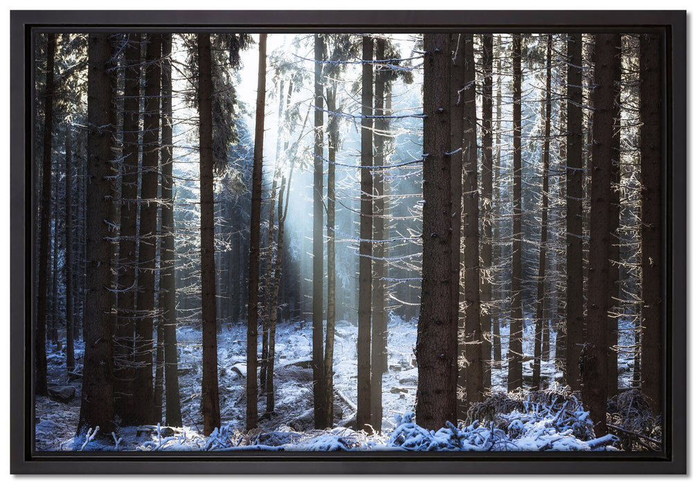 Winterwald auf Leinwandbild gerahmt Größe 60x40