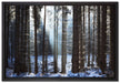 Winterwald auf Leinwandbild gerahmt Größe 60x40