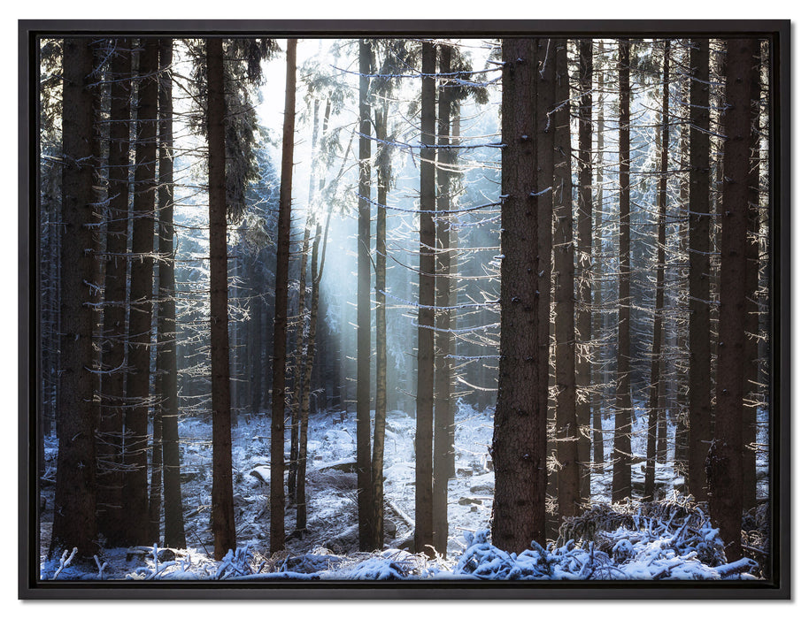 Winterwald auf Leinwandbild gerahmt Größe 80x60