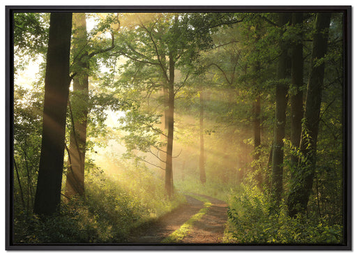 Waldweg auf Leinwandbild gerahmt Größe 100x70