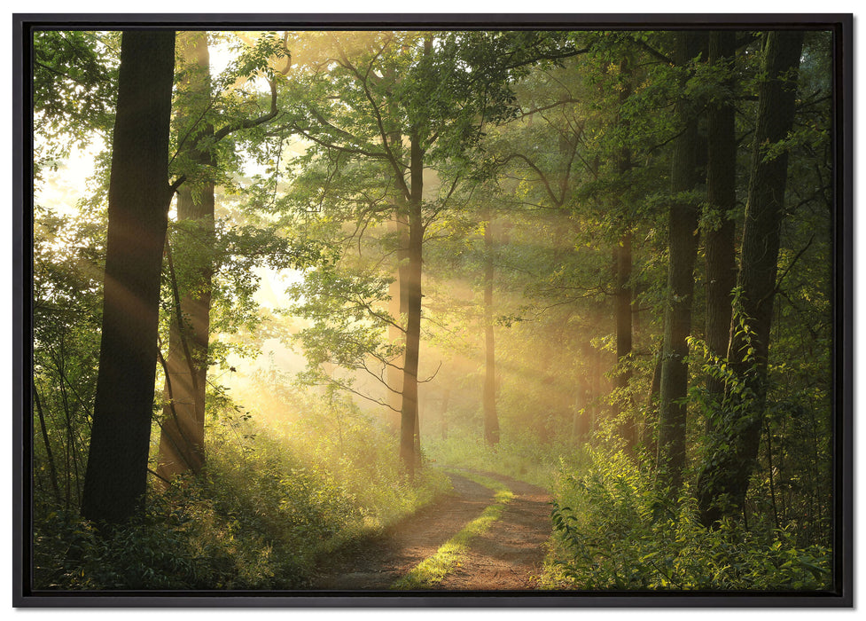Waldweg auf Leinwandbild gerahmt Größe 100x70