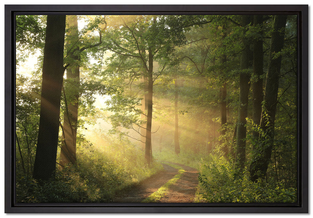 Waldweg auf Leinwandbild gerahmt Größe 60x40