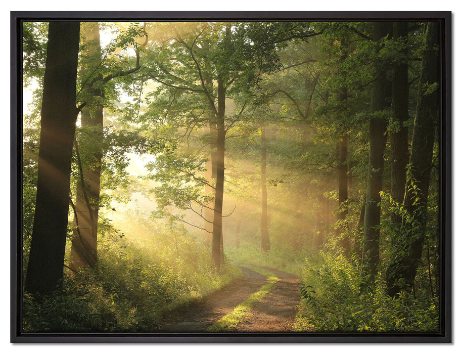Waldweg auf Leinwandbild gerahmt Größe 80x60