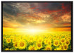 Sonnenblumenfeld auf Leinwandbild gerahmt Größe 100x70