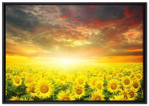 Sonnenblumenfeld auf Leinwandbild gerahmt Größe 100x70