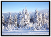 Winterwald auf Leinwandbild gerahmt Größe 100x70