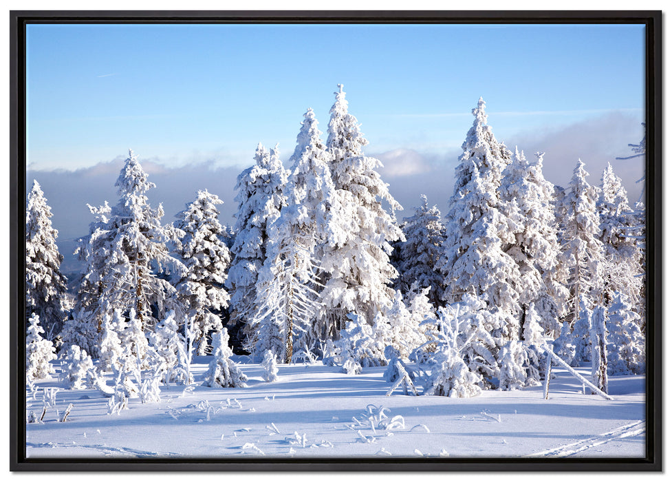 Winterwald auf Leinwandbild gerahmt Größe 100x70