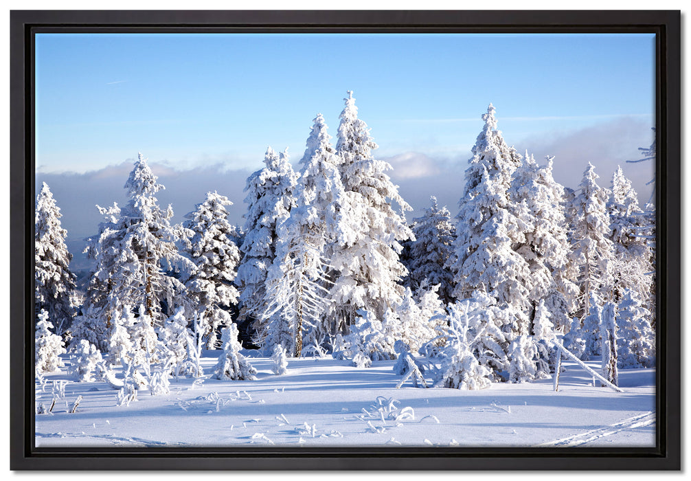 Winterwald auf Leinwandbild gerahmt Größe 60x40