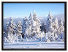 Winterwald auf Leinwandbild gerahmt Größe 80x60