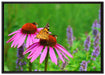 Schmetterling auf Blüte auf Leinwandbild gerahmt Größe 100x70