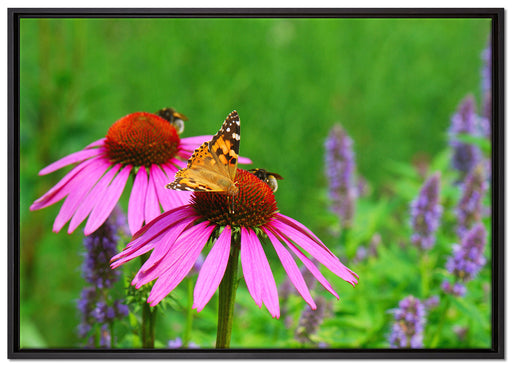 Schmetterling auf Blüte auf Leinwandbild gerahmt Größe 100x70