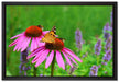 Schmetterling auf Blüte auf Leinwandbild gerahmt Größe 60x40